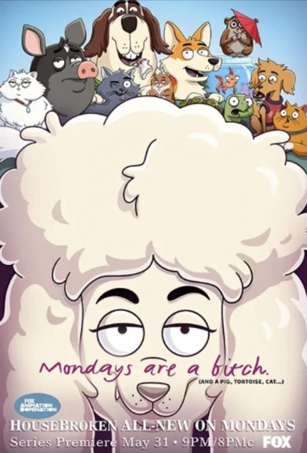 К лотку приучены 1 сезон